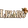 Lizarologo